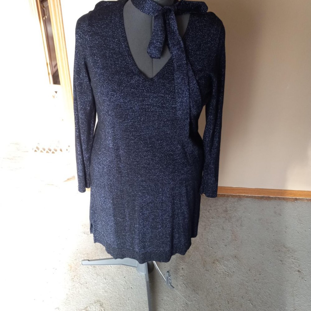 Lane Bryant long Sleeve Dress